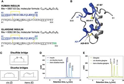 Minimizing Mitogenic Potency of Insulin Analogues Through Modification of a Disulfide Bond